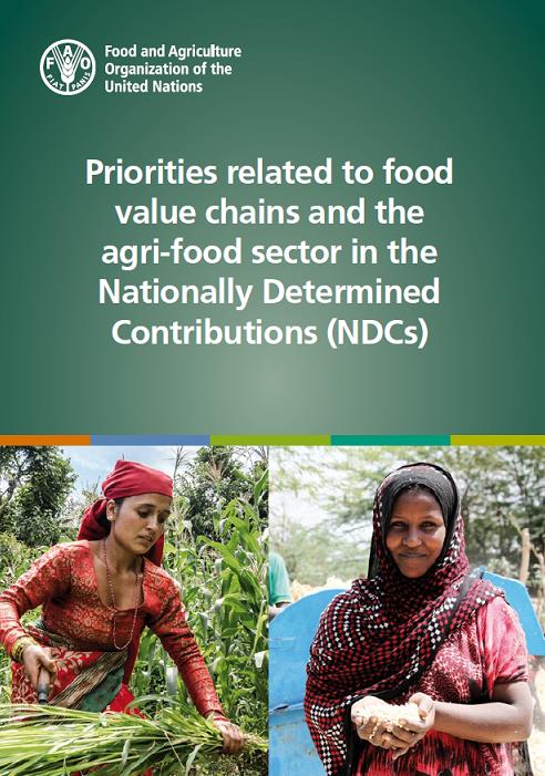 NDCs-agrifood