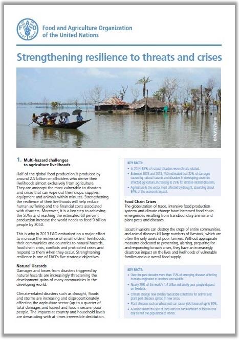 resilience-brief 2