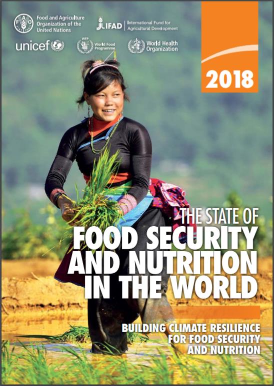 SOFI2018