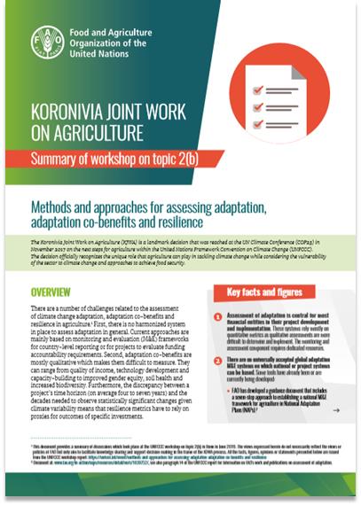 workshopa