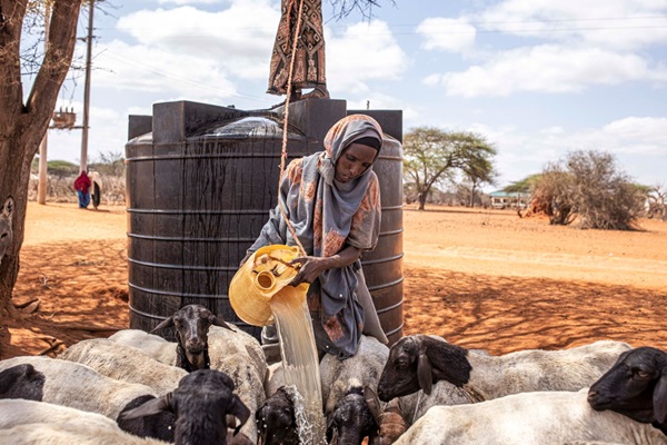 © FAO/Patrick Meinhardt