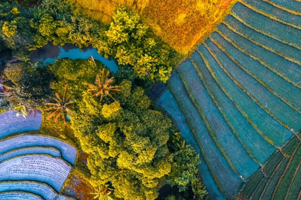 AdobeStock_135309338