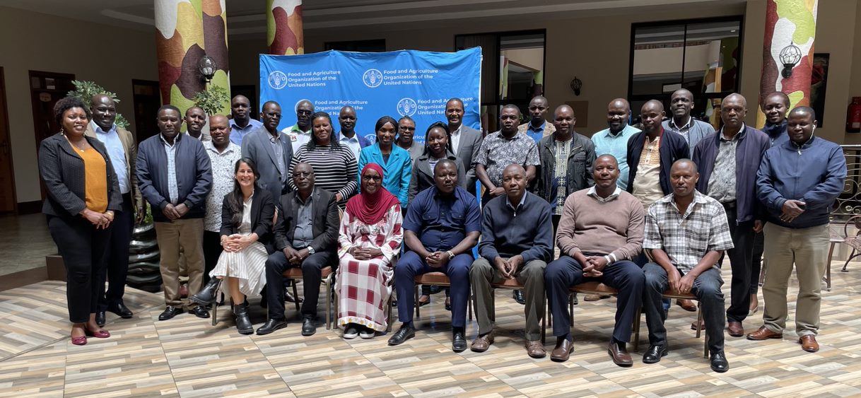 Enhancing policy coherence and institutional capacity on livestock climate actions in Kenya