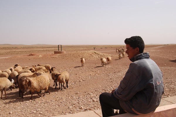 © FAO/Giampiero Diana 2