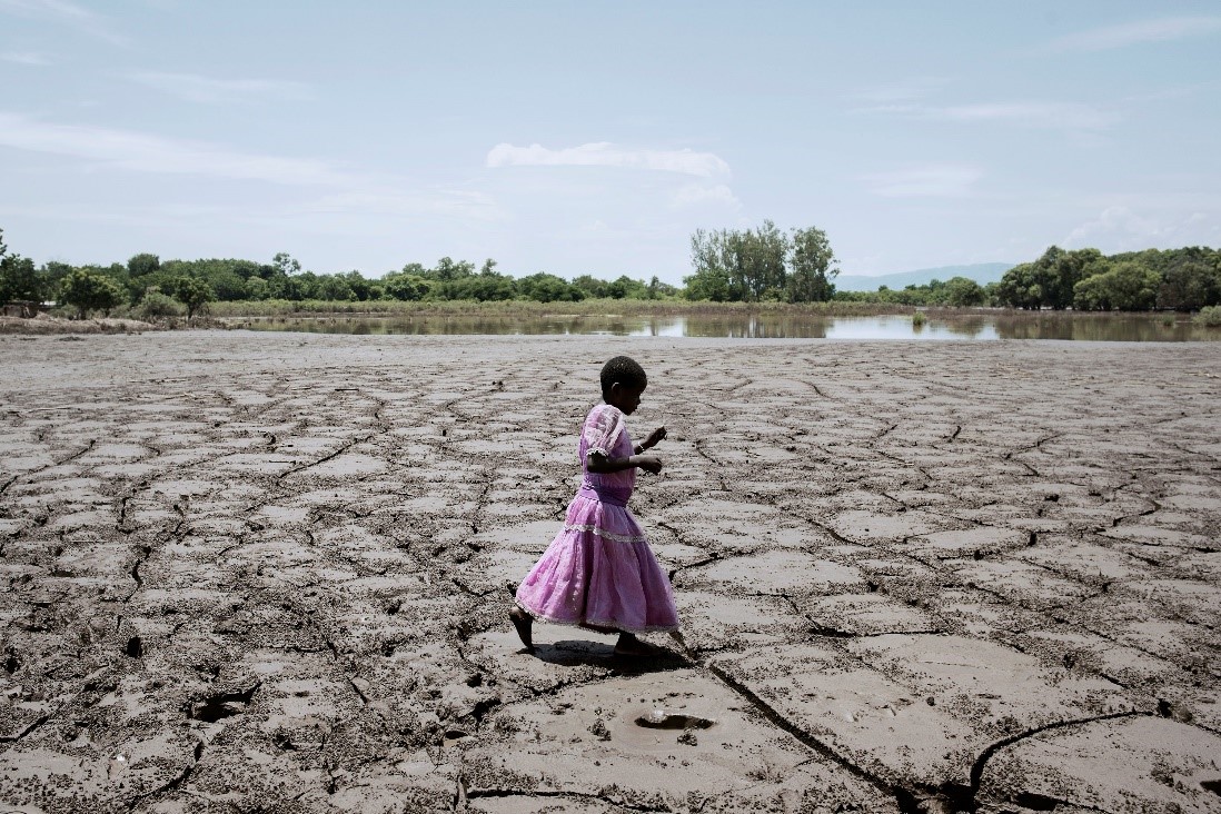 Healthy environment is a human right