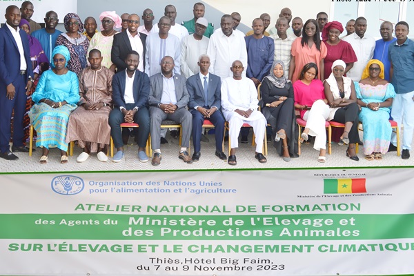 Training professionals from the Ministry of Livestock and Animal Production on climate actions in Senegal