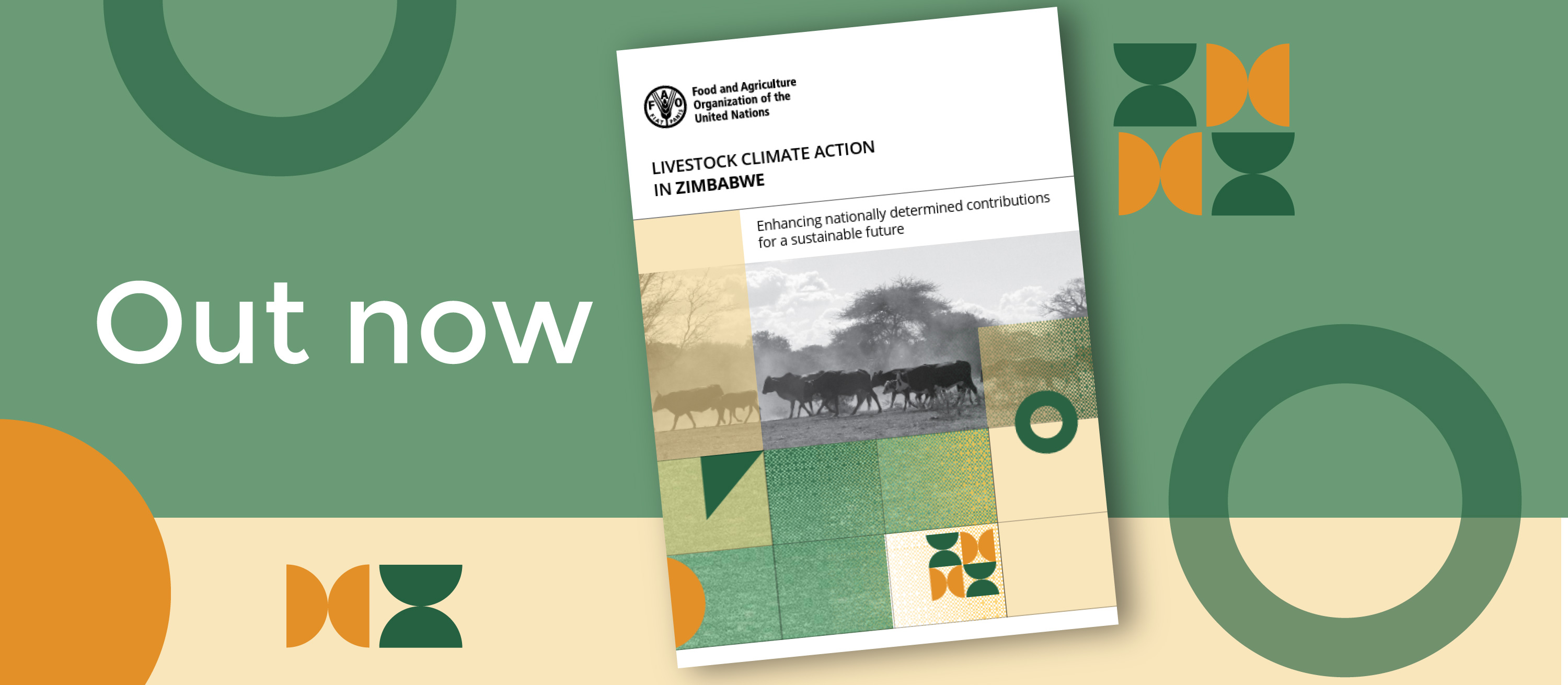 Out now: Livestock Climate Action in Zimbabwe