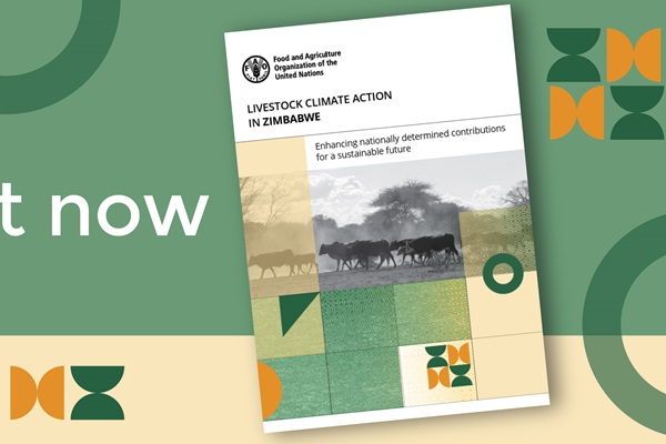 Out now: Livestock Climate Action in Zimbabwe