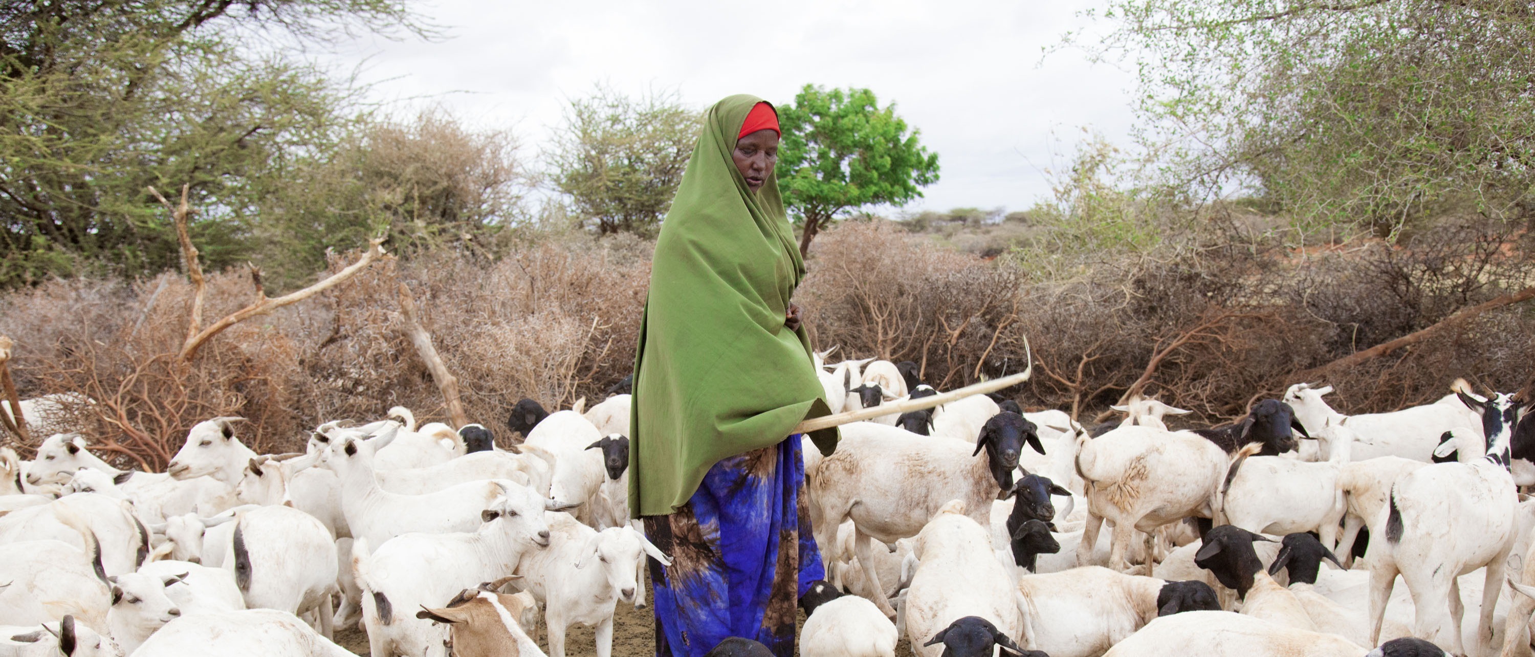 Advancing methane emissions mitigation in 20 countries in Eastern and Southern Africa