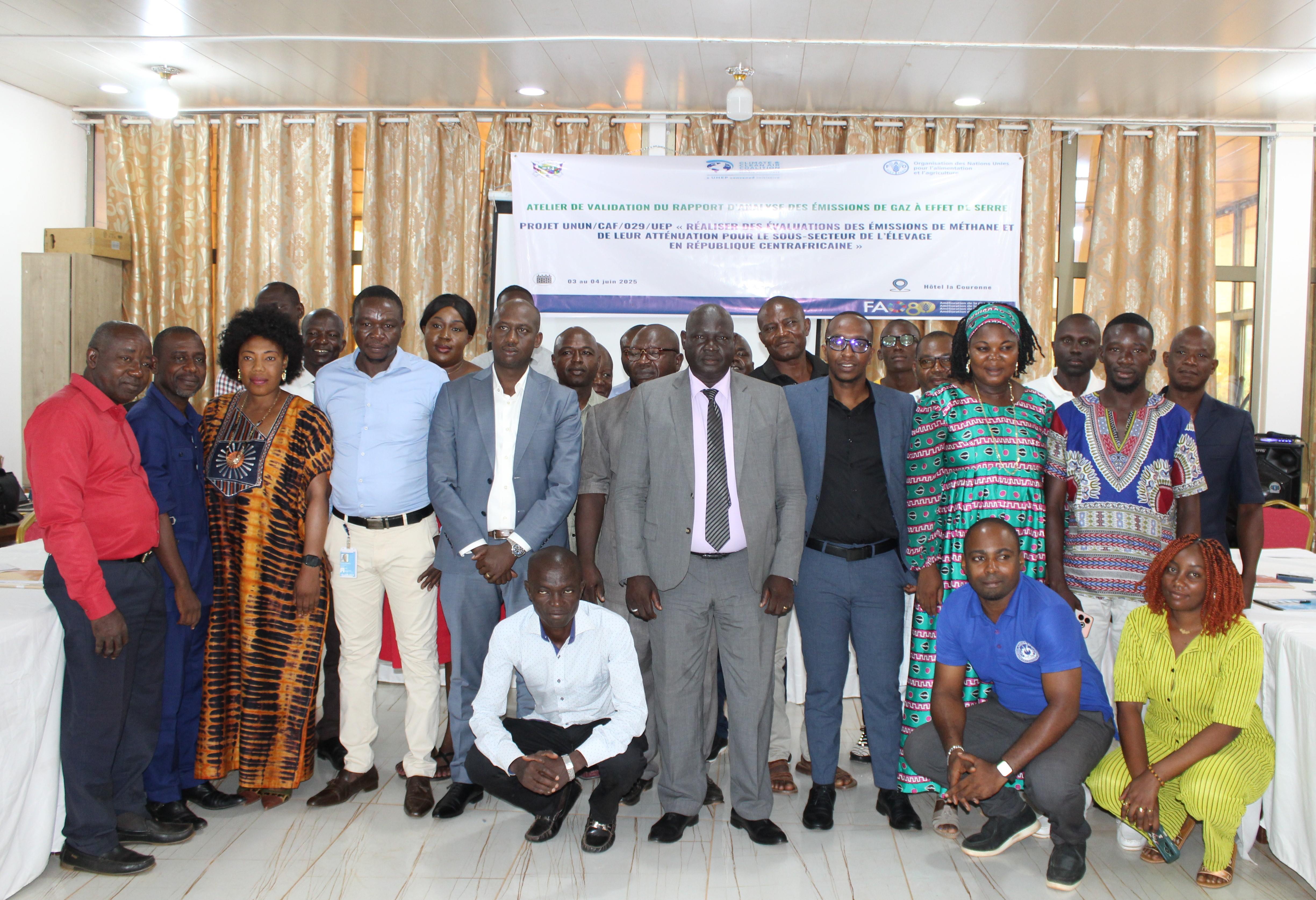 Central African Republic validates livestock methane emissions report