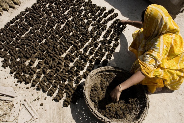 FAO_Nitrogen use efficiency must be improved to reduce harm to human and environmental health