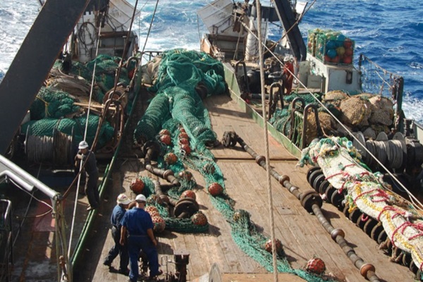 new_resources_for_sustainable_management_of_deep-sea_fisheries_in_the_high_seas