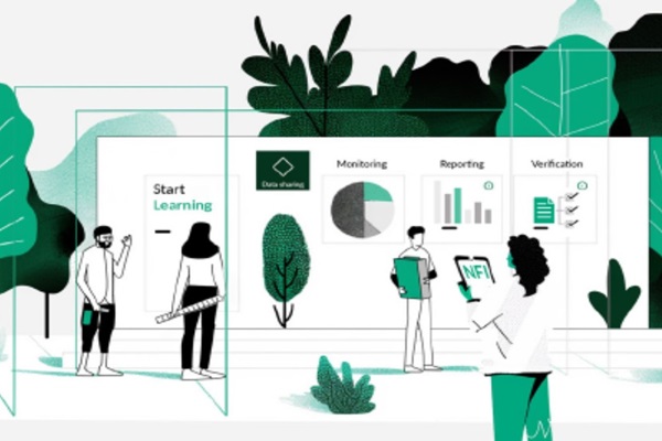 nfi-illustration-CBITForest2