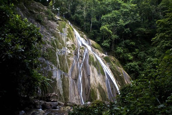 carbonoffset
