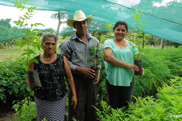 El Salvador 1