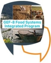 Food Systems IP FSN