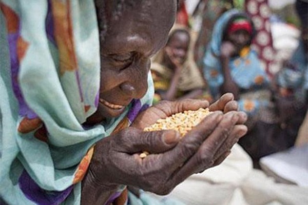 Belgium supports FAO