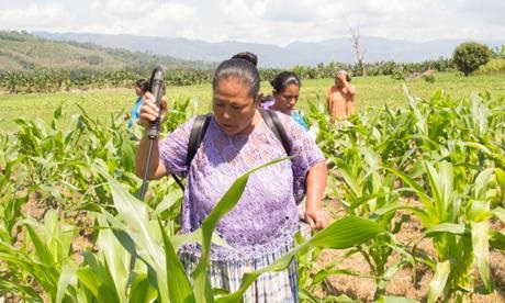 Herlinda-Guatemala-01