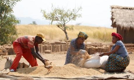 rice bag preparation