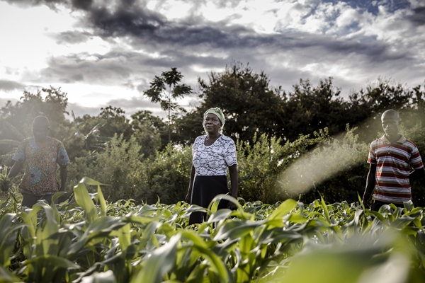 Women’s equality in agrifood systems could boost the global economy by $1 trillion, reduce food insecurity by 45 million: new FAO report