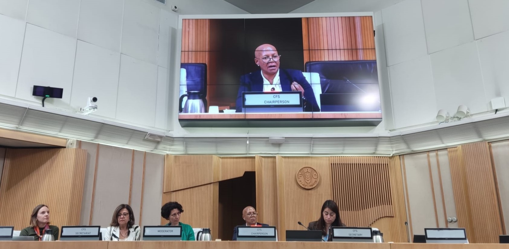CFS Chair at the Collaborative Governance Dialogue on Financing for Food Security and Nutrition (FSN), held by the Committee on World Food Security (CFS) on 15 April at FAO headquarters in Rome.