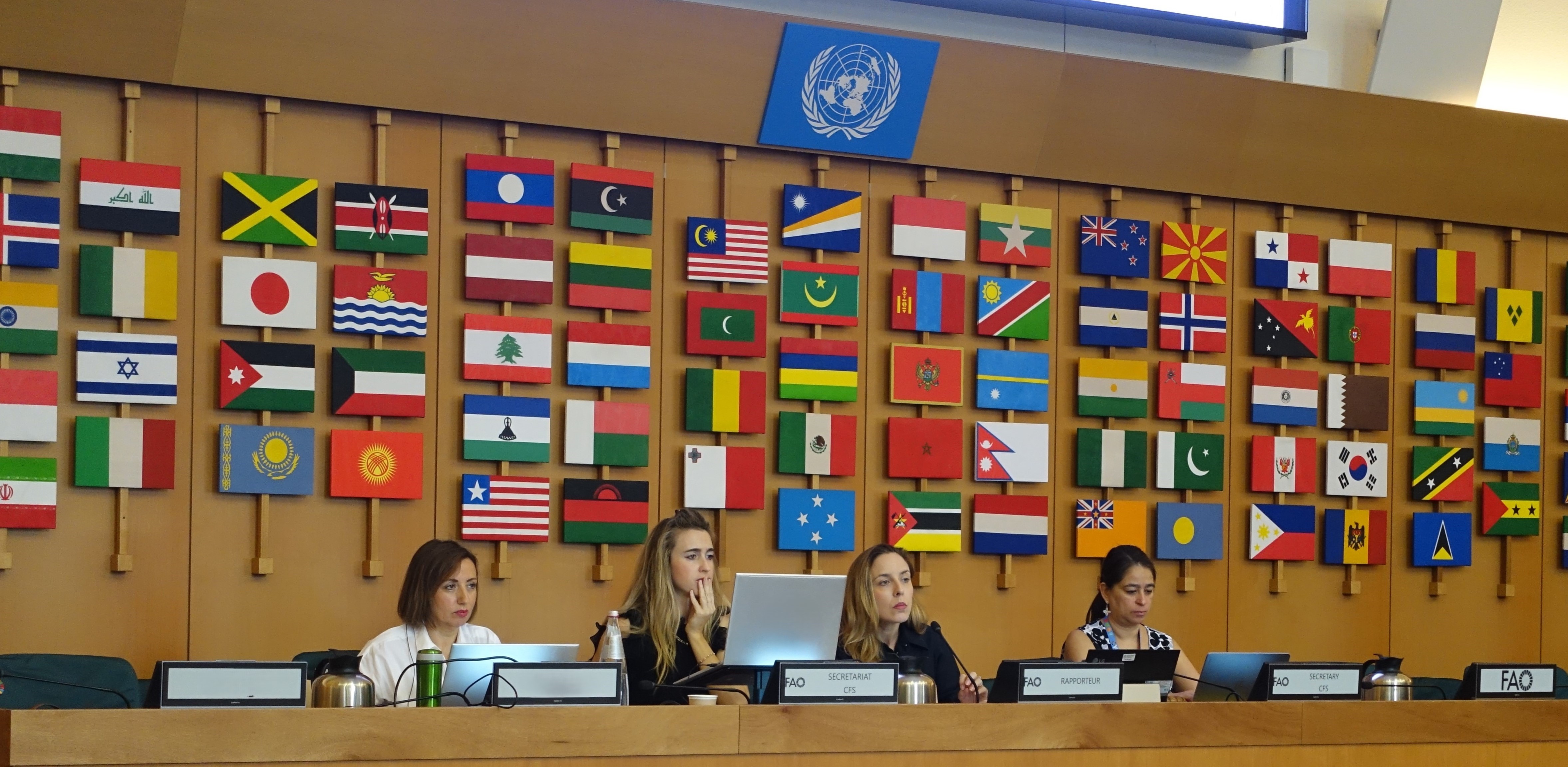 CFS Negotiations on reducing inequalities for food security and nutrition