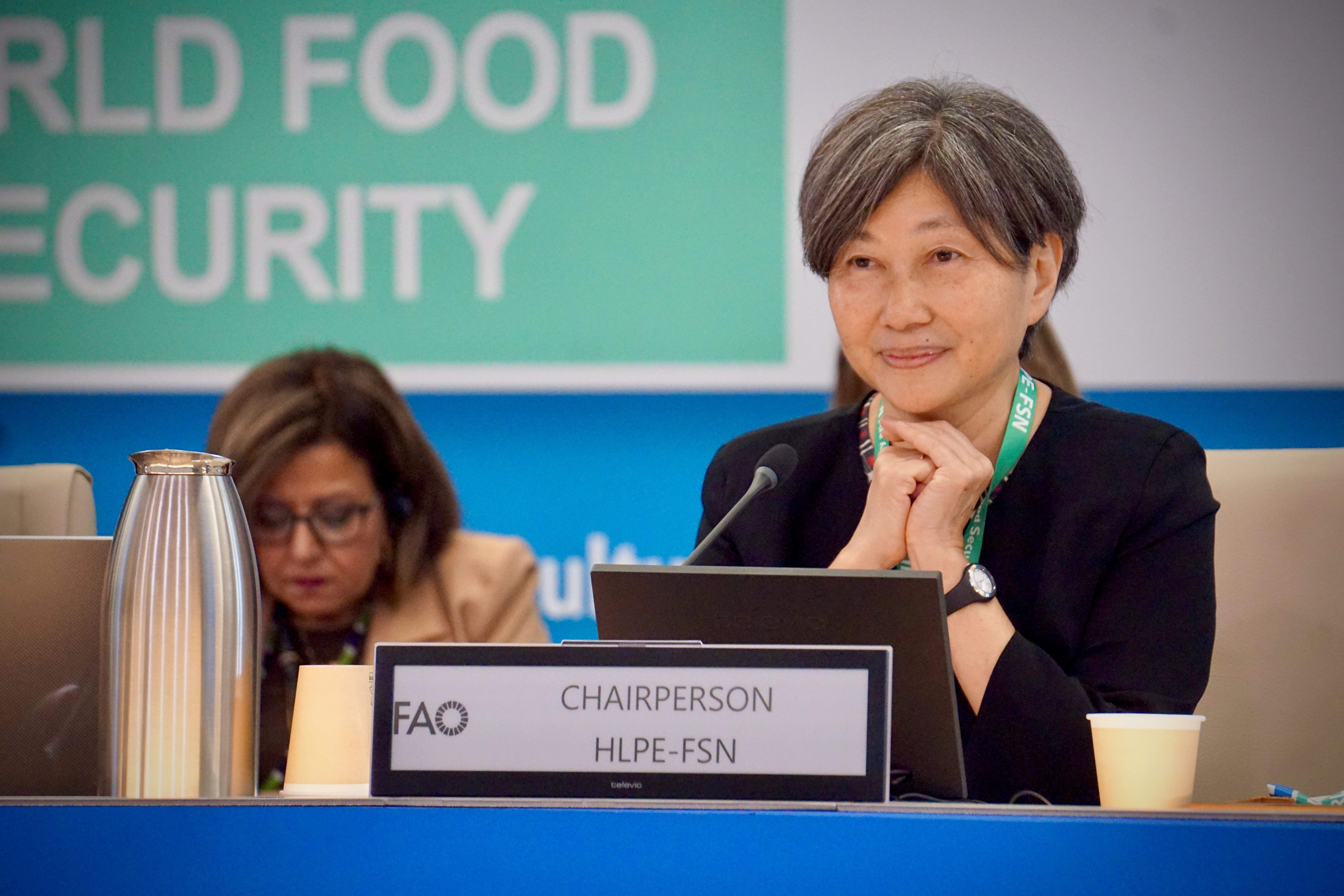 CFS2_Akiko Suwa-Eisenmann; HLPE-FSN Chair