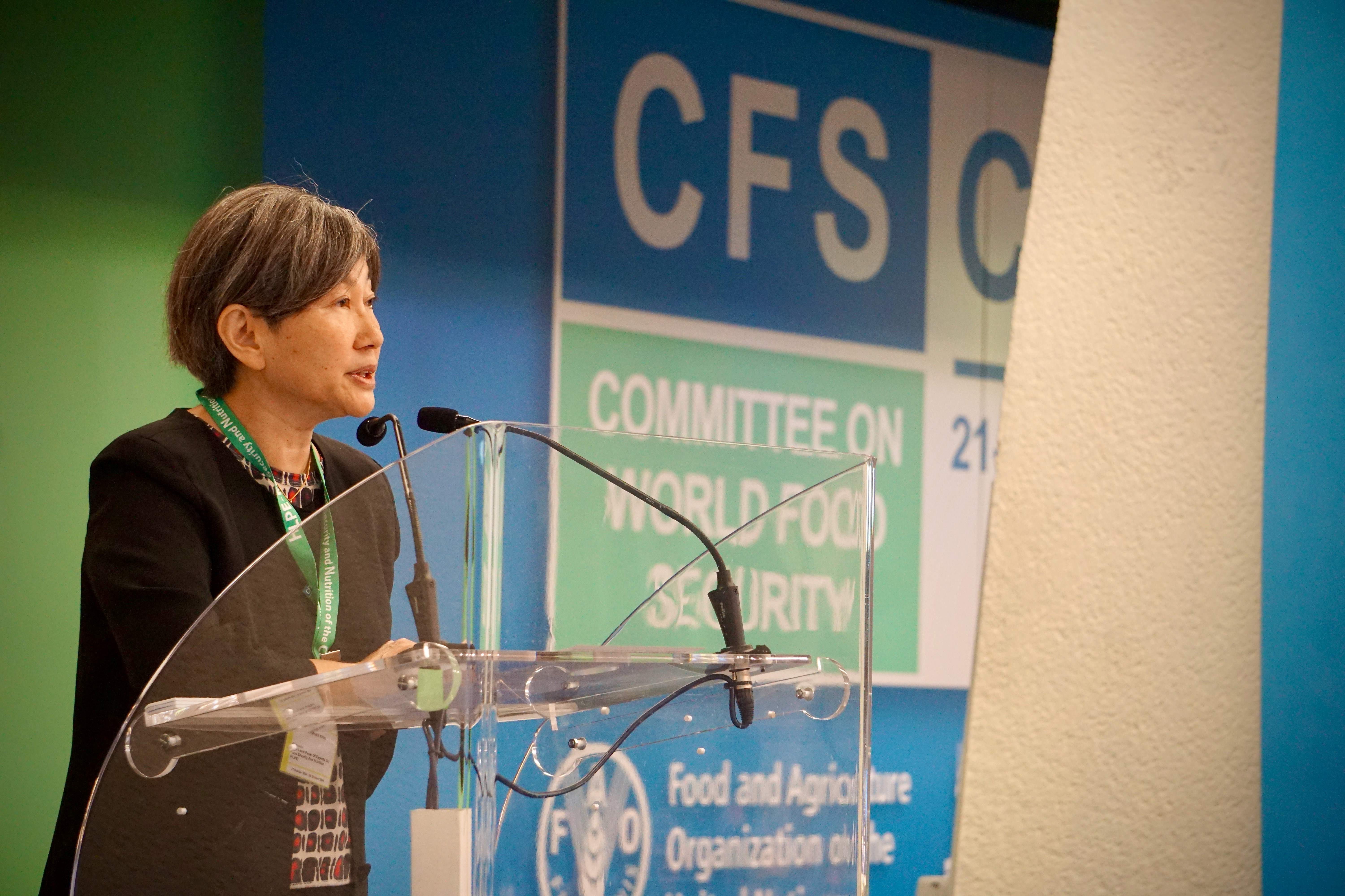 CFS52_HLPE-FSN Chair Akiko Suwa-Eisenmann