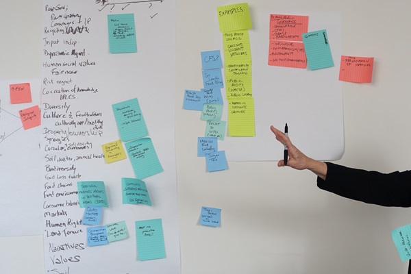 HLPE-FSN drafting team meeting, November 2024, resilience