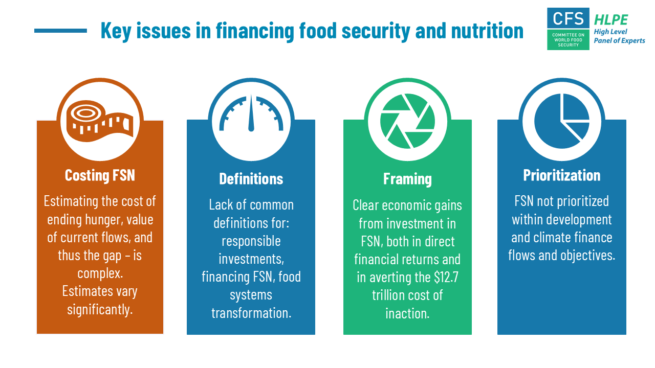 HLPE-FSN financing food security and nutrition