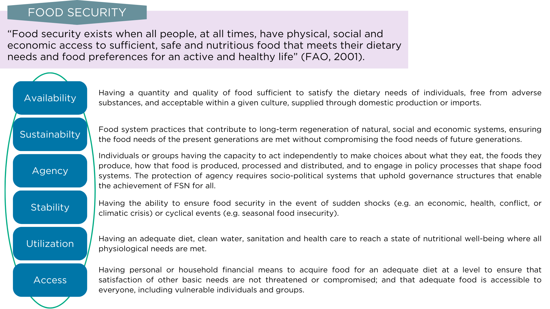 HLPE-FSN six dimentions of food secuity and nutrition definitions