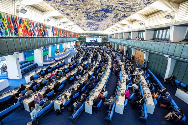 Giulio Napolitano_CFS51