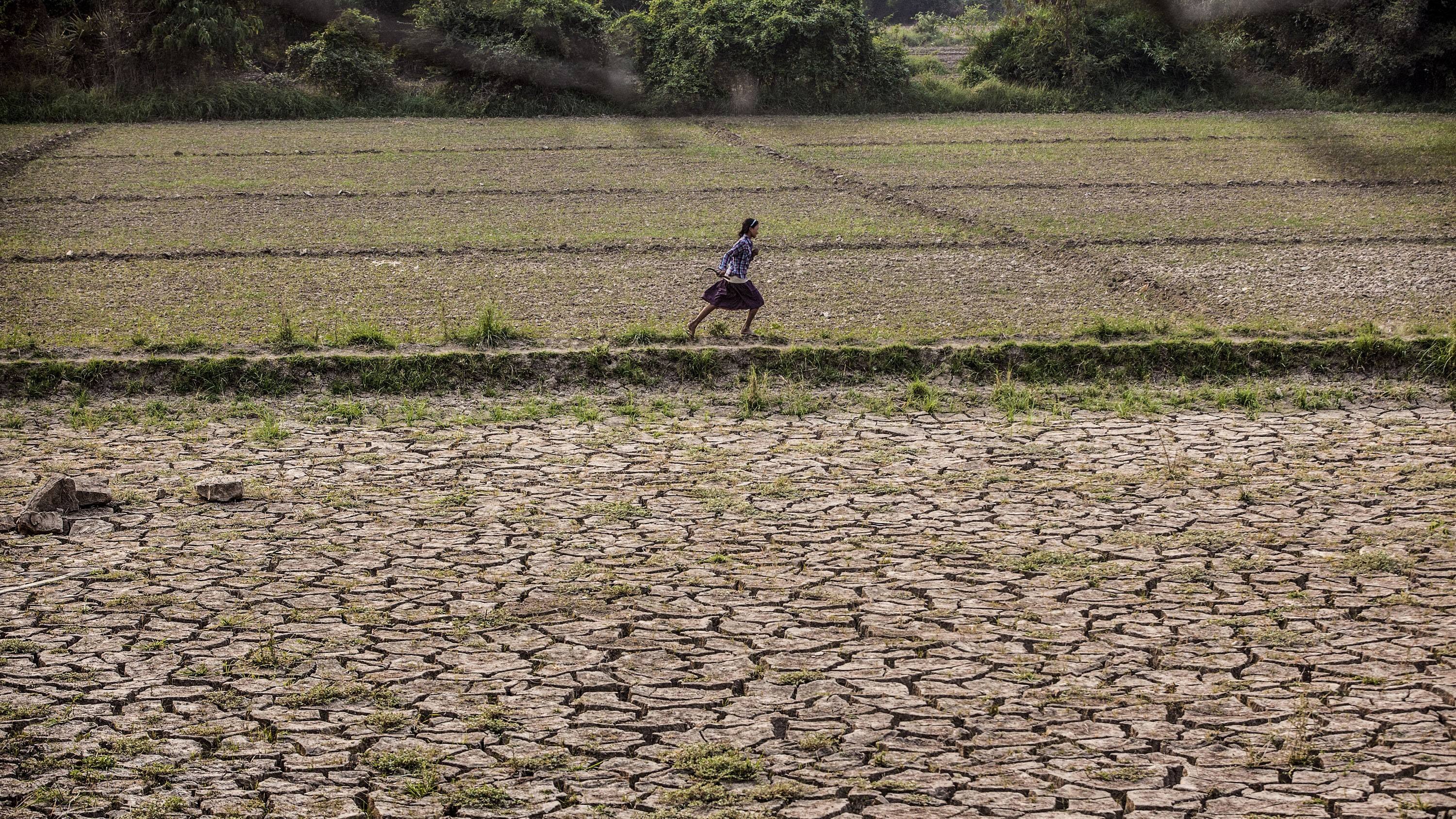 Sustainability
