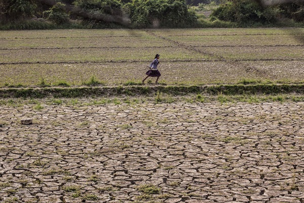 Sustainability