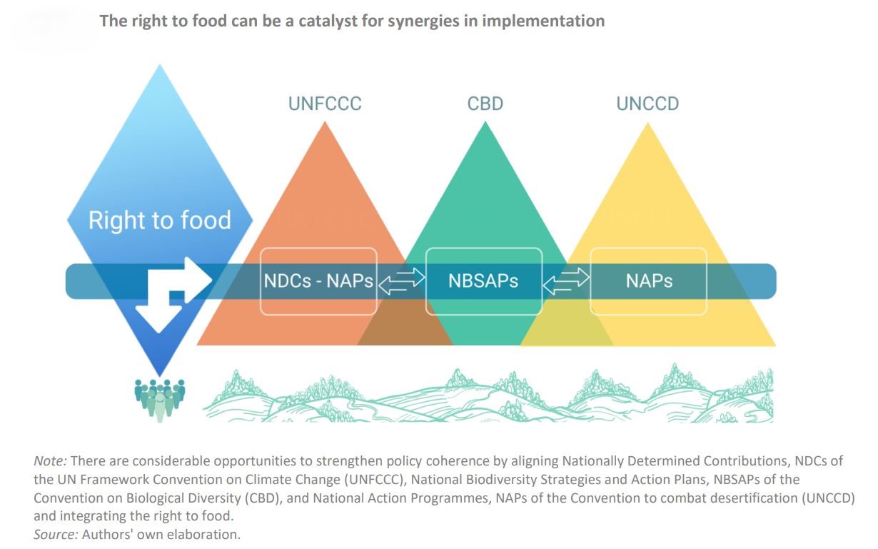There are considerable opportunities to strengthen policy coherence by integrating rights-based frameworks in the National plans under the three Rio conventions.