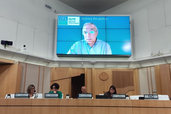 Ruben Echeverría, HLPE-FSN Steering Committee member, delivers expert presentation to CFS Collaborative Governance Dialogue on Financing Food Security and Nutrition