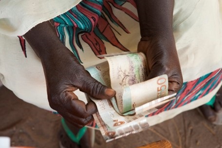 Responsible investments and financing for food security and nutrition