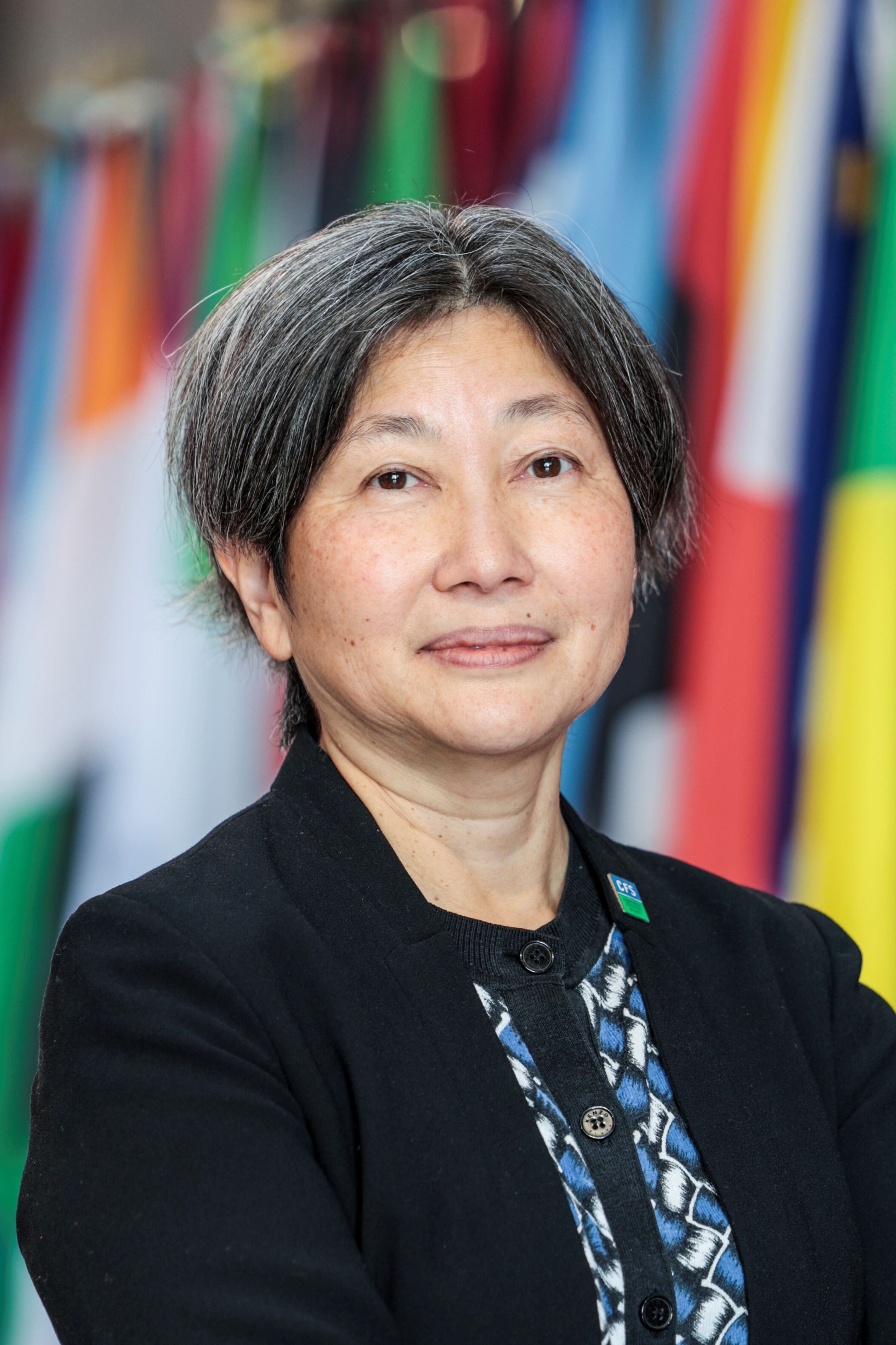 Akiko Suwa-Eisenmann 