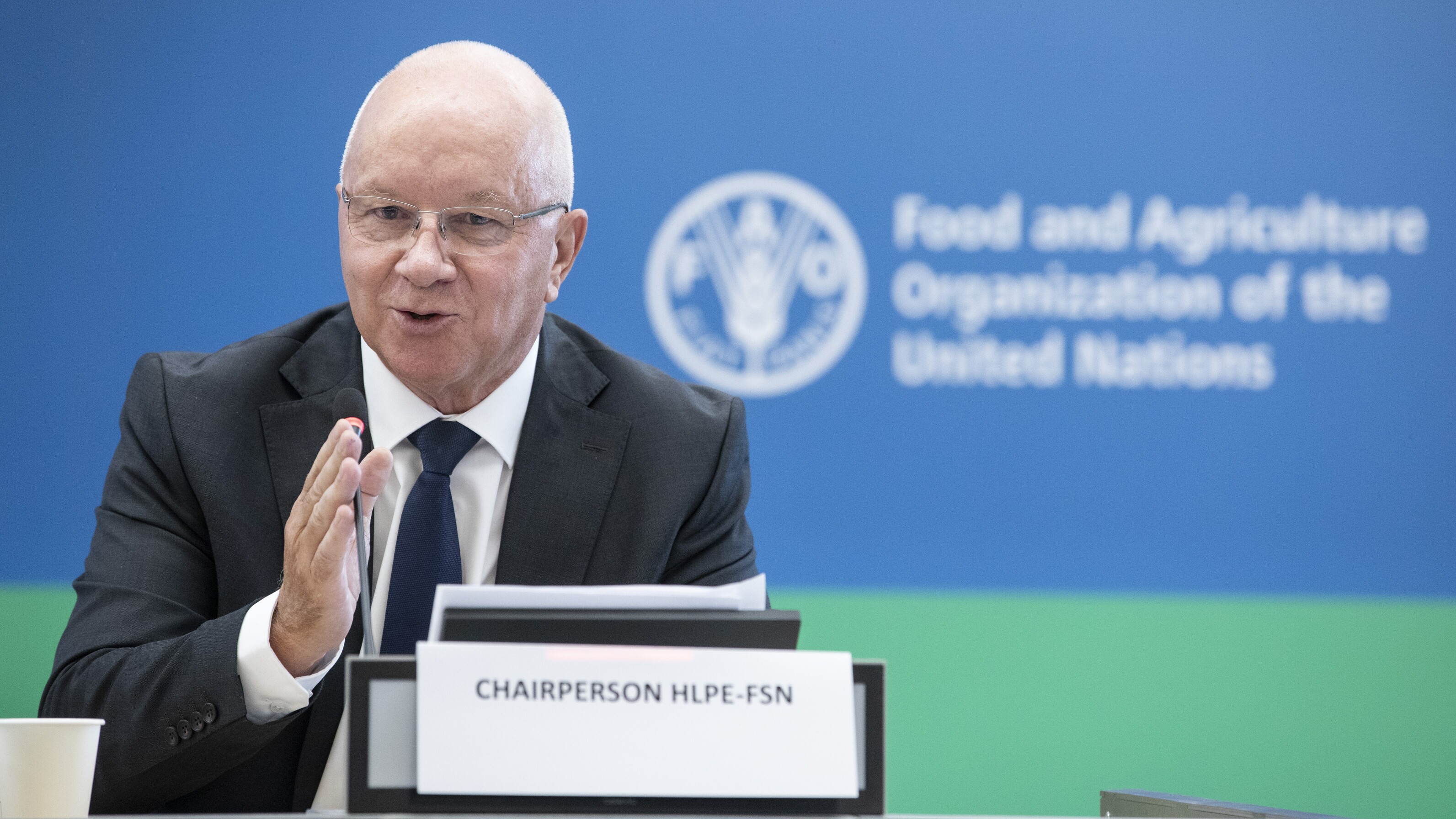 CFS 51 – HIGH-LEVEL OPENING CEREMONY Chairperson of the High Level Panel of Experts on Food Security and Nutrition (HLPE-FSN).
