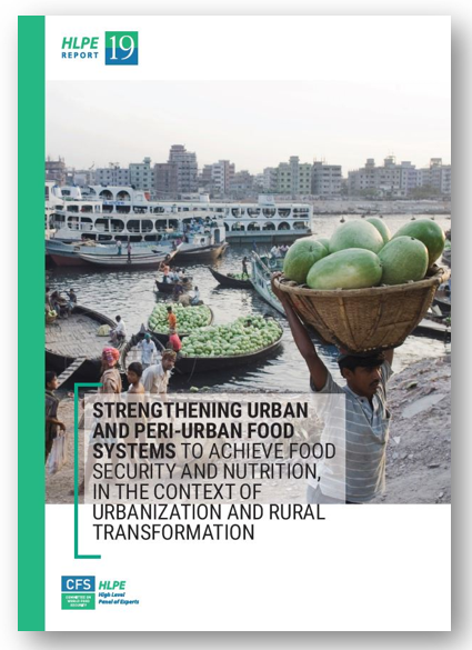 Rapport Reinforcement des systèmes alimentaires urbains et périurbains au service de la sécurité alimentaire et de la nutrition dans le contexte de l'urbanisation et de la transformation rurale