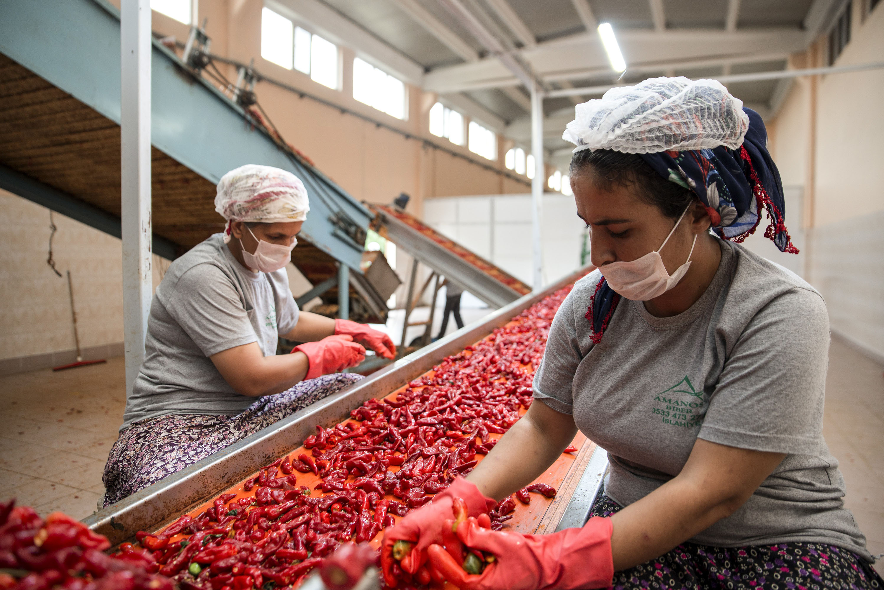 Food system workers in Turkey