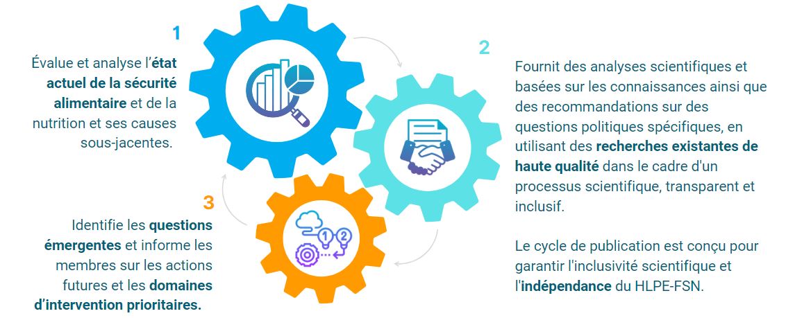 Functions HLPE-FSN_FR