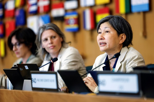 HLPE 19_Launch_ ©FAO_Alessia Pierdomenico