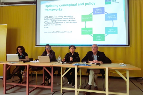 HLPE-FSN at a public event in Istambul