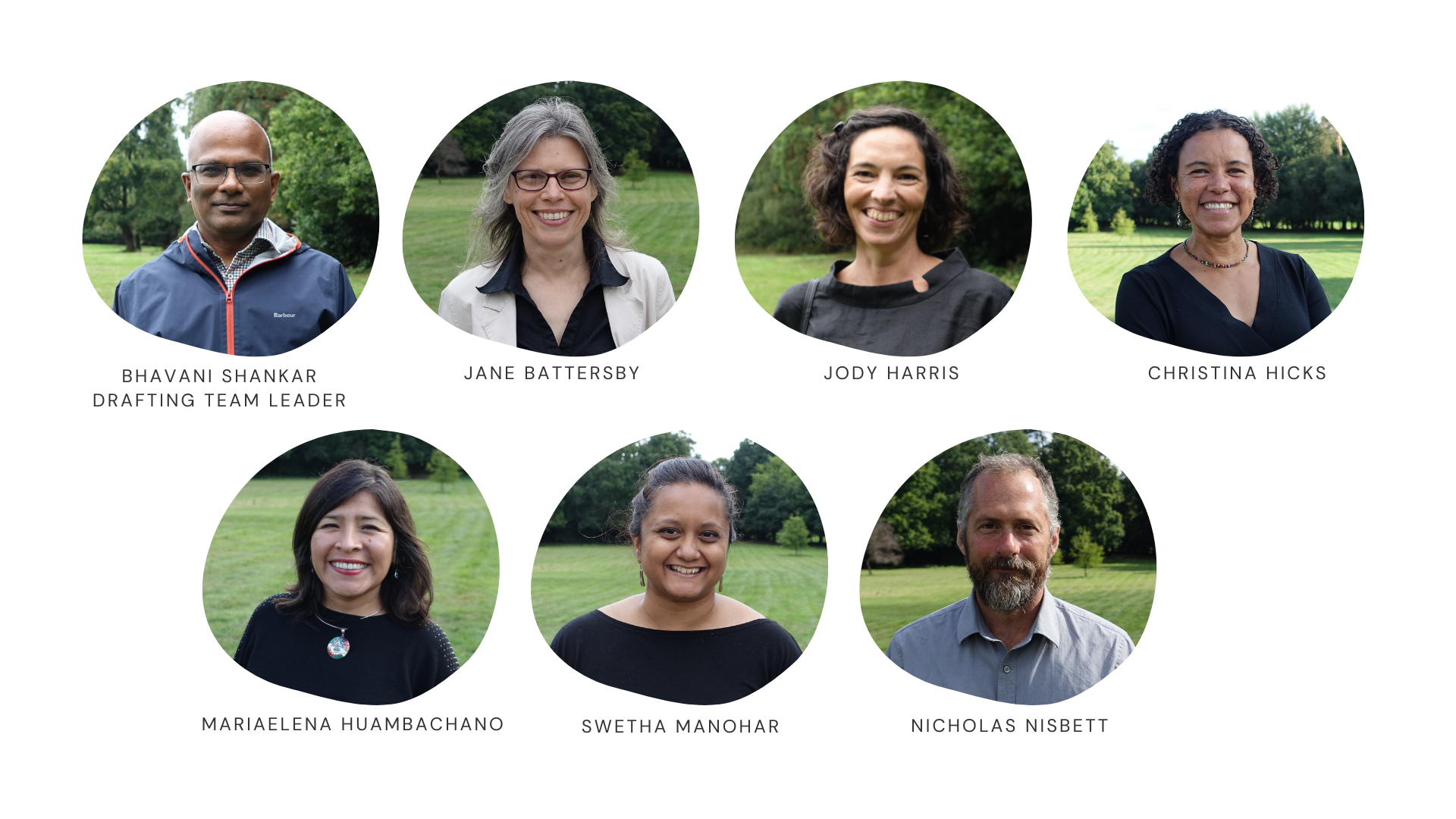 HLPE-FSN Drafting team 18 (inequality for FSN)