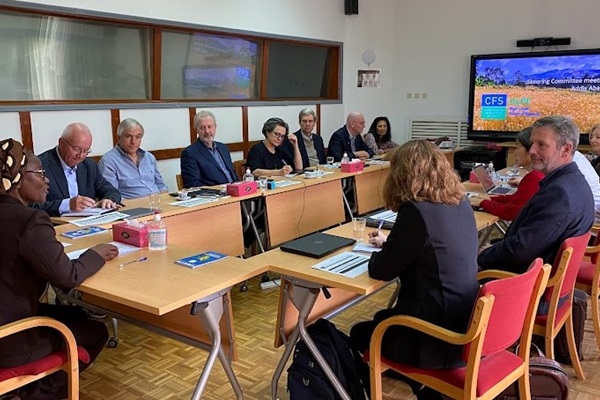 HLPE-FSN meeting in Addis Ababa, Ethiopia