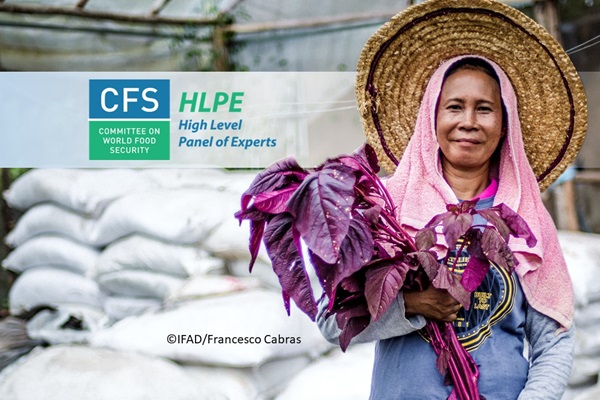 HLPE-FSN report Cover