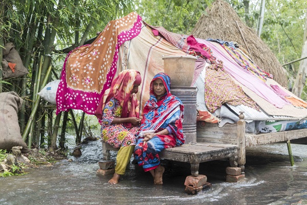 HLPE-FSN report on Building resilient food systems