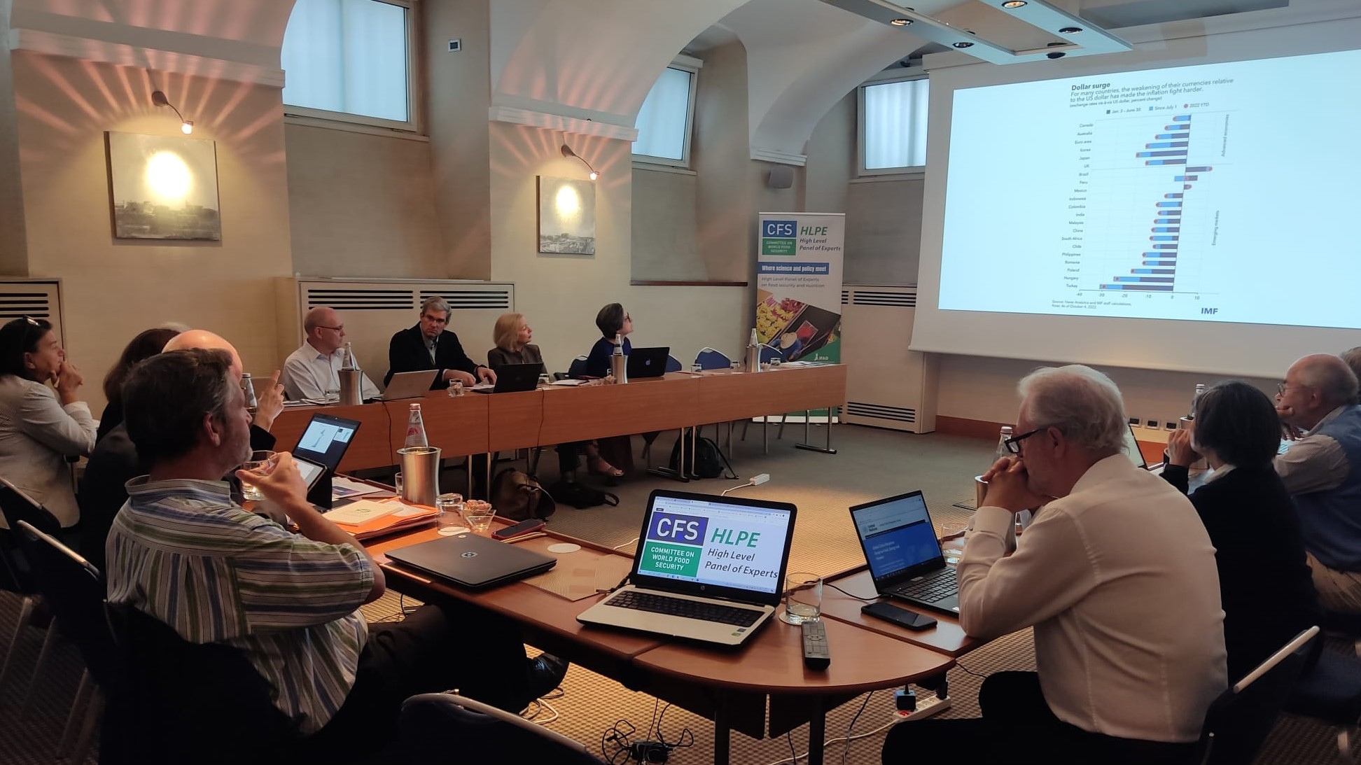 HLPE-FSN Steering Commettee members