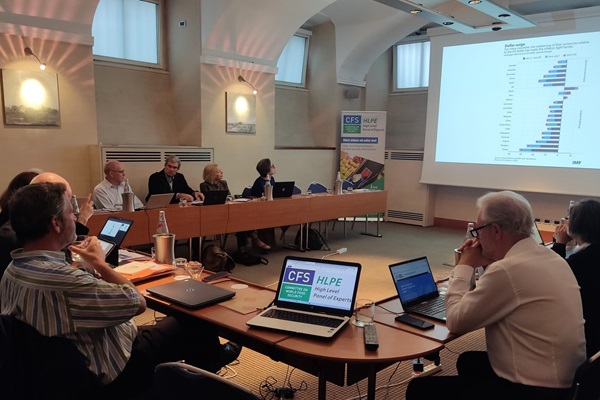 HLPE-FSN Steering Commettee members